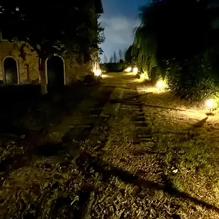 Tenuta Degli Ulivi